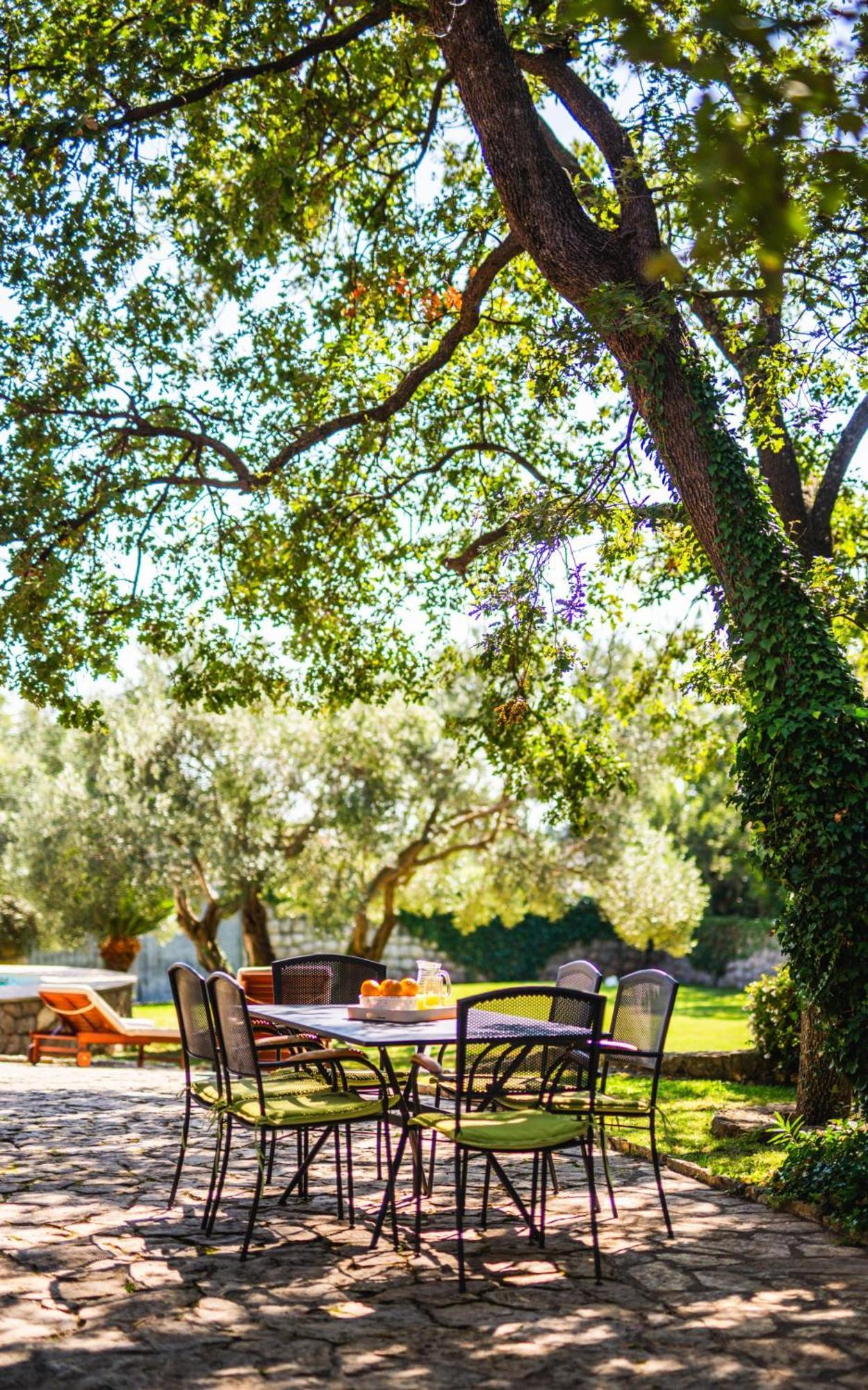 Villa Tereza Čilipi Dış mekan fotoğraf